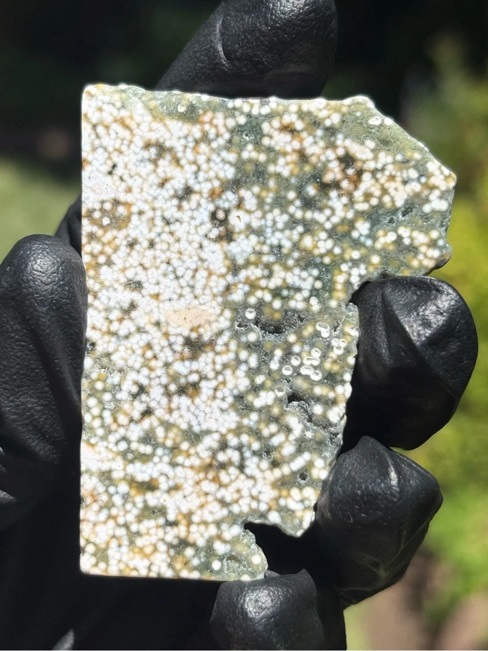Ocean Jasper Crystal Slab - Orbicular Jasper - Polished Sea Jasper